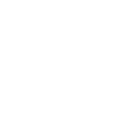 brakes icon