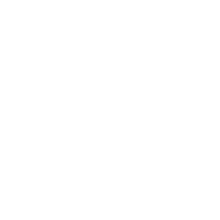 wheel icon