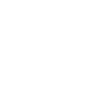 tire icon